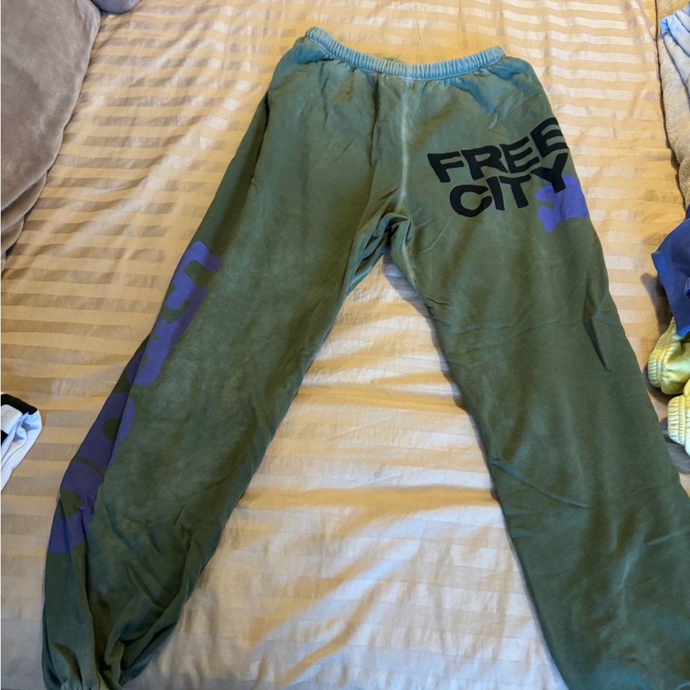 Free City Let’s go sweatpants. Size L. Olive green with purple.